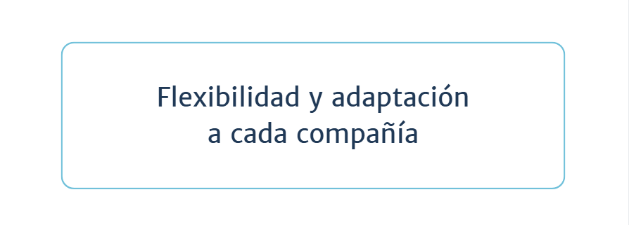 Executive Search - flexibilidad y adaptación